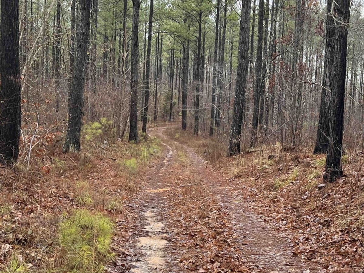 USFS 142 - Moody Bend photo 2