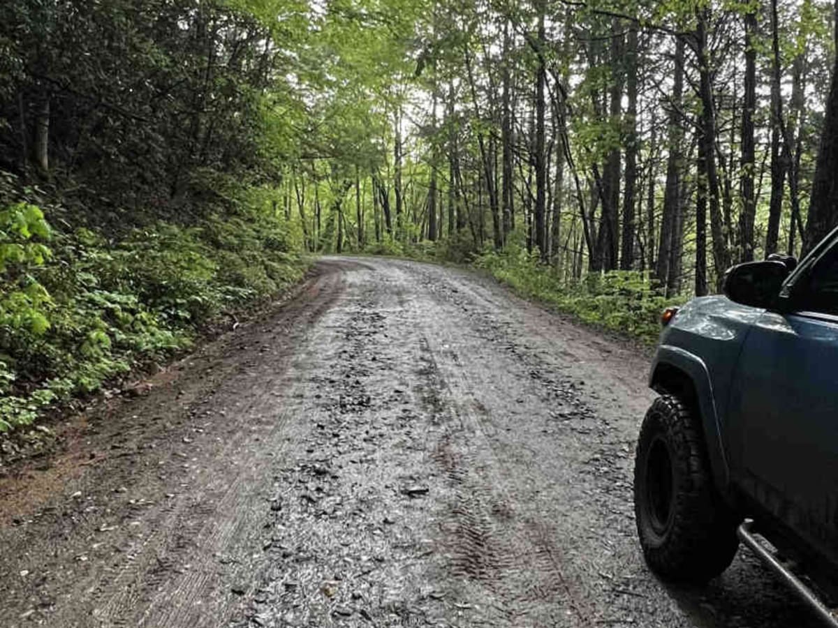Cooper Creek FS Road 33 photo 3