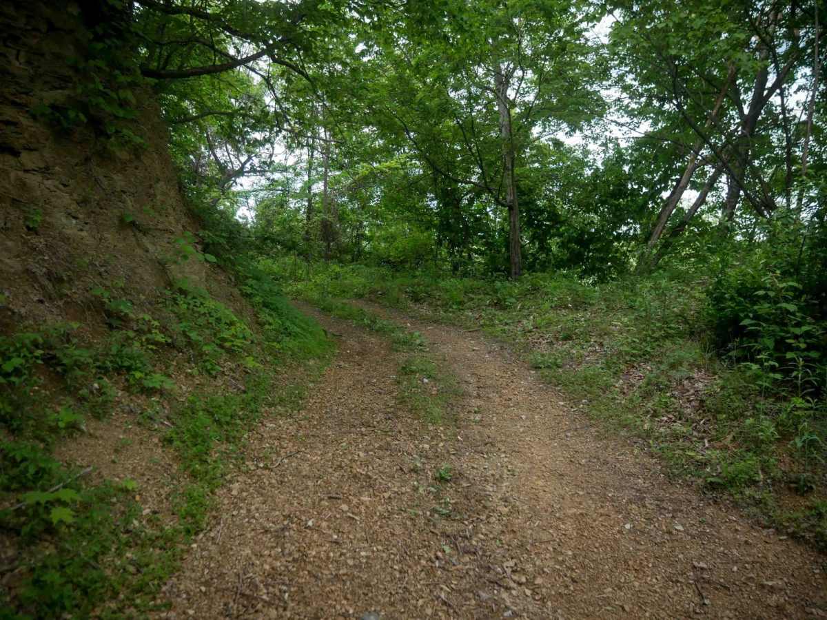 MV14 trail photo