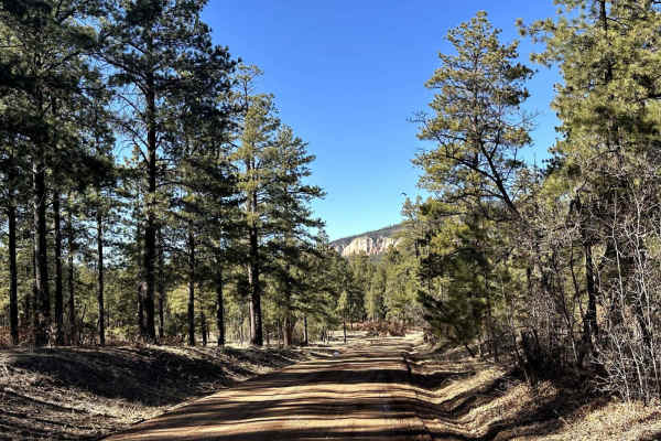FR103 Run to Rio Puerco