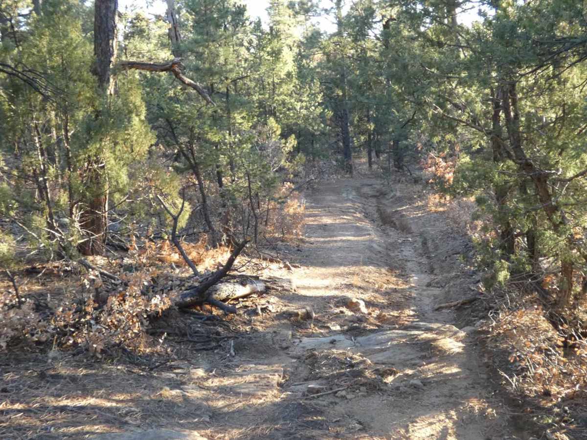 Cow Creek Loop trail photo