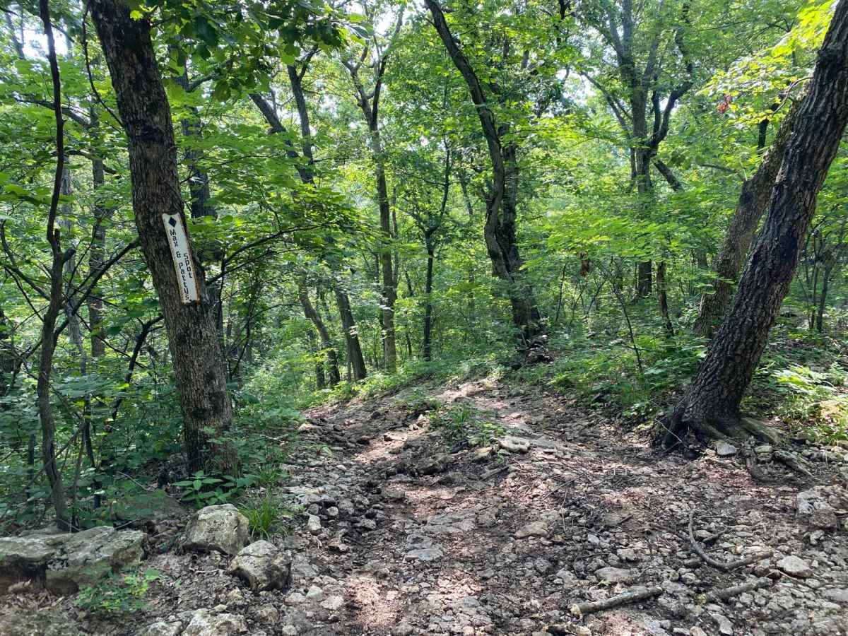 Max and Patty's Spot photo 6