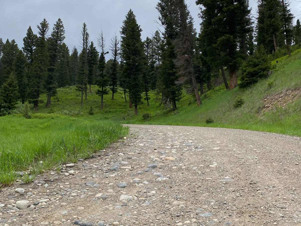 Start of Olsen Creek photo 4