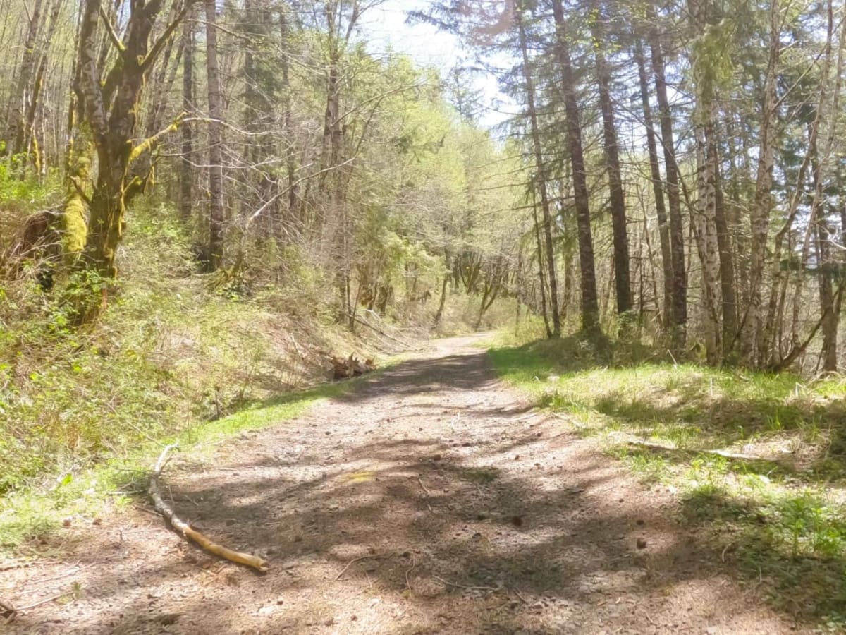 ZigZag Road - North photo 3