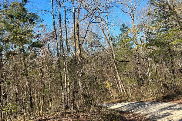 Northwest Road - FS 208 EA