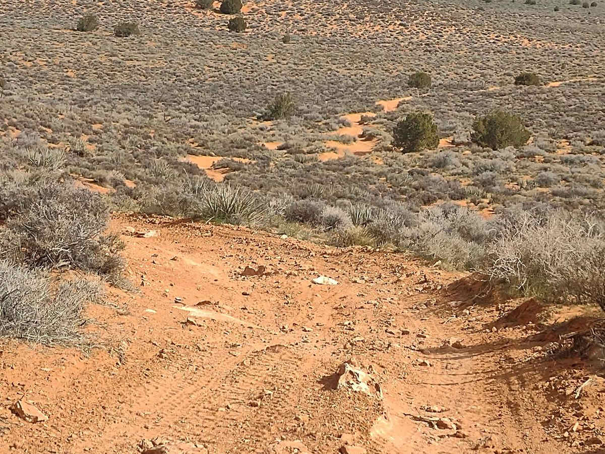 Backdoor to Babylon Loop trail photo