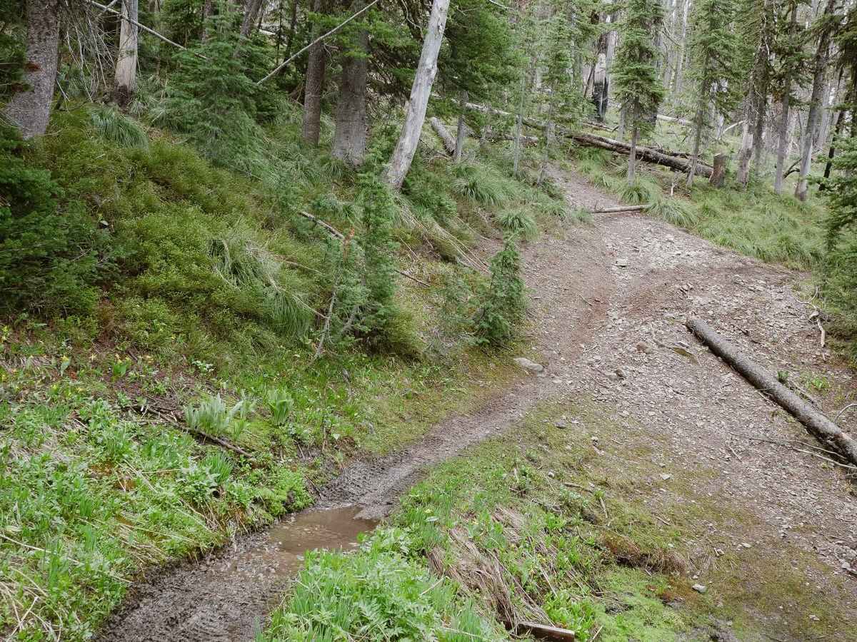 Three Mile Ridge photo 4