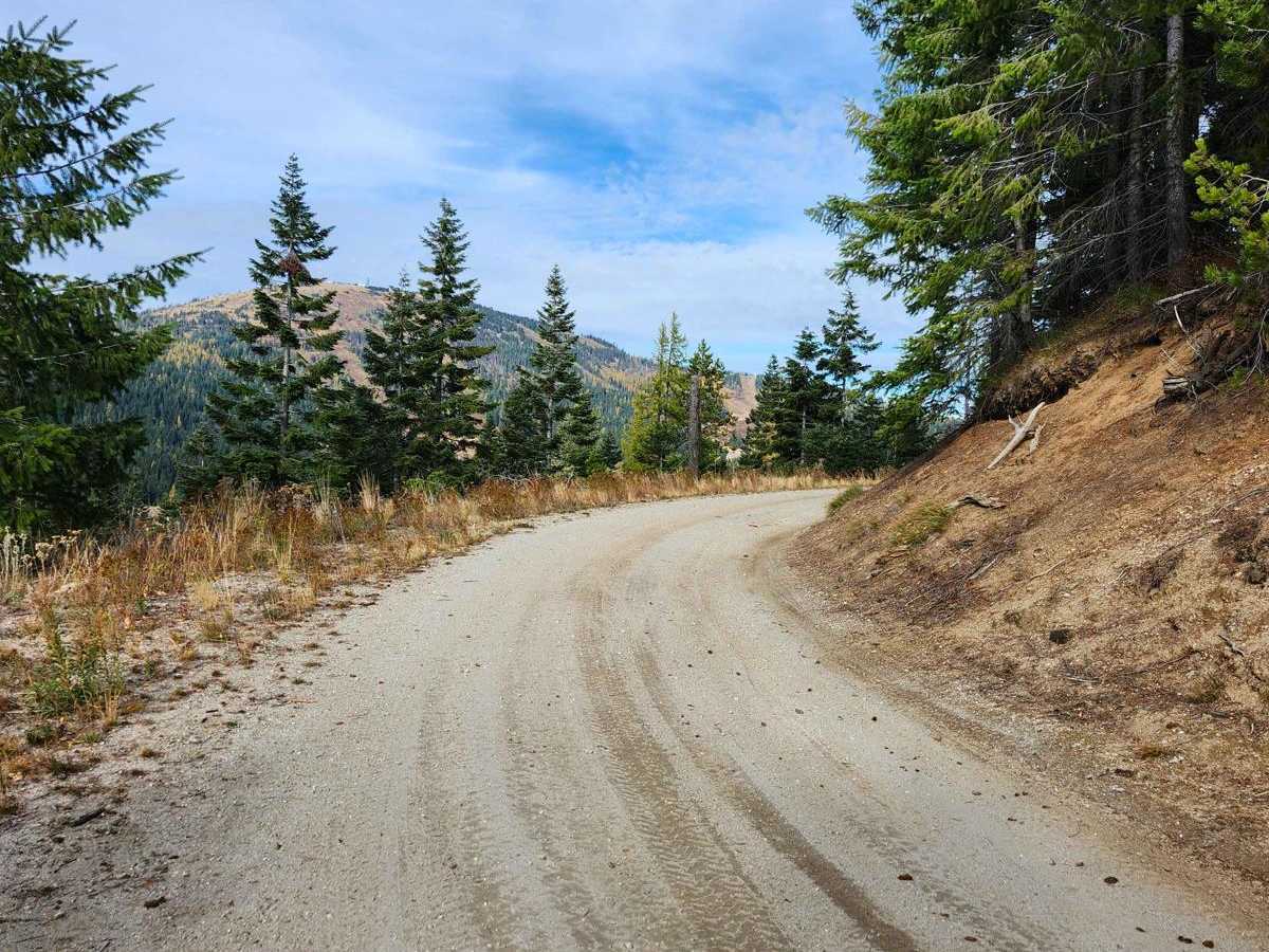 Mica Road & Upper Outer Limits photo 5