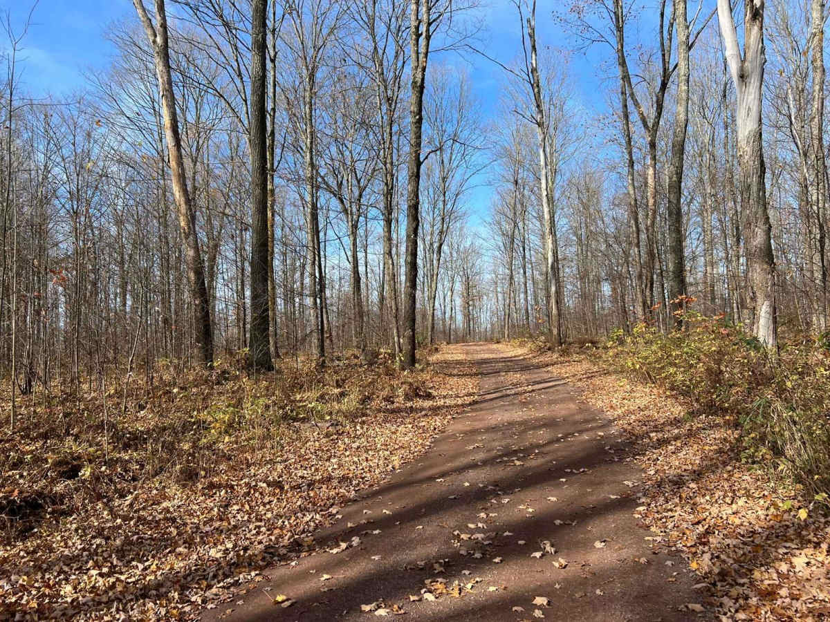 Marinette County Spur Lake Road F5 Trail photo 5