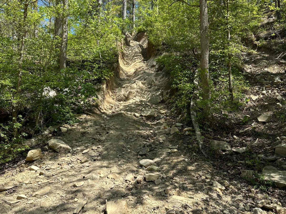 Trail 34 Grizzly Hill photo 4