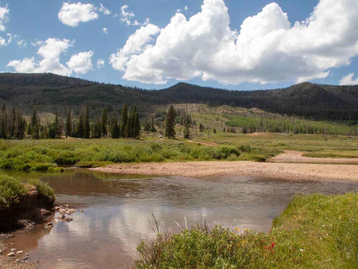 West Fork Blacks Fork trail photo