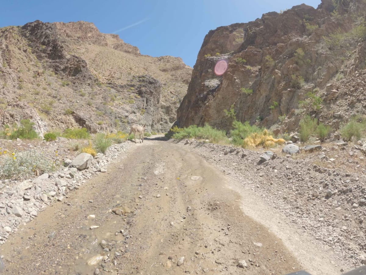 Goler Canyon Road photo 5
