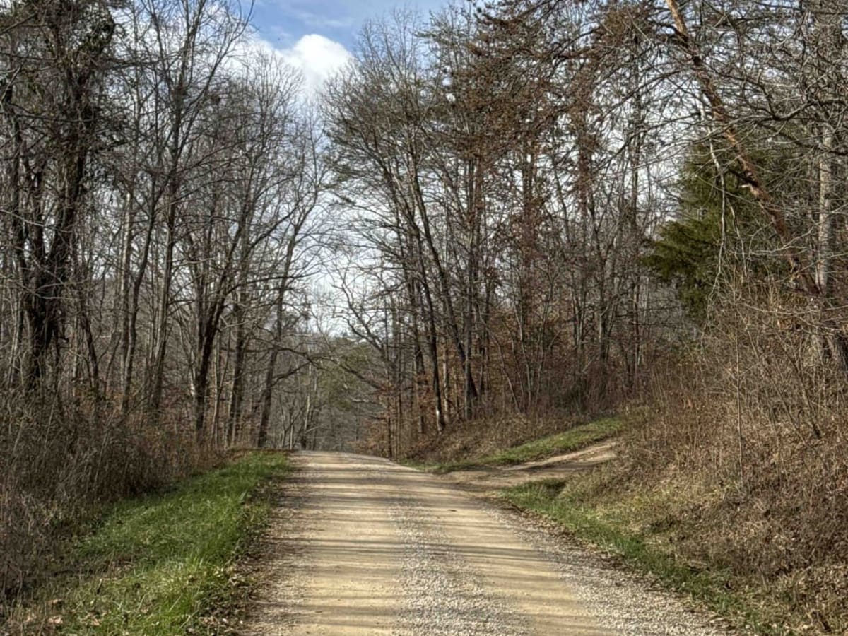Todds Road photo 5