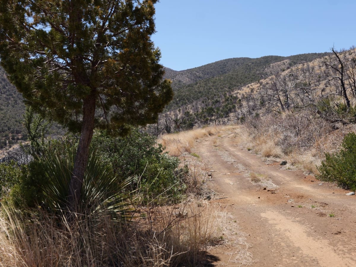 Nugget Road and Rolling Hills photo 3