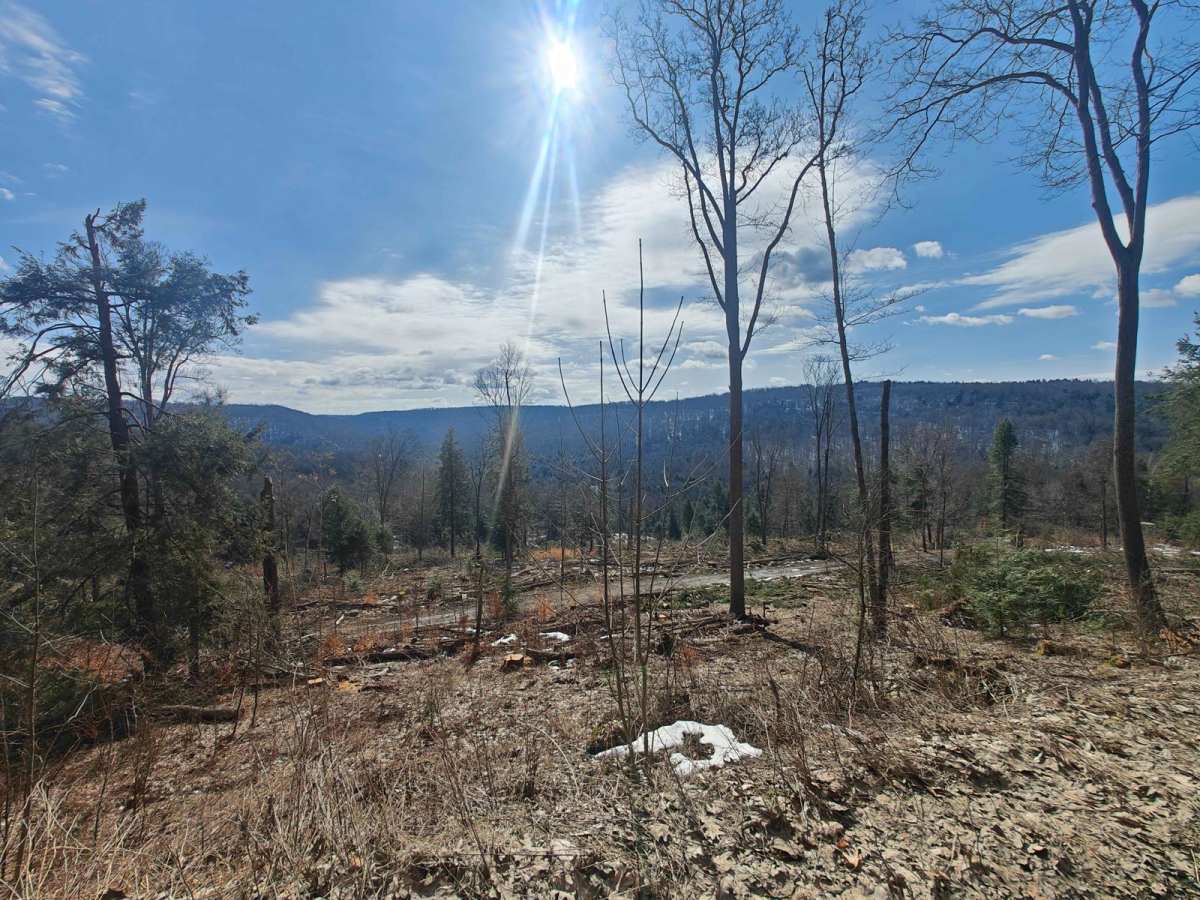 Hook Run Road - FSR 160 photo 2