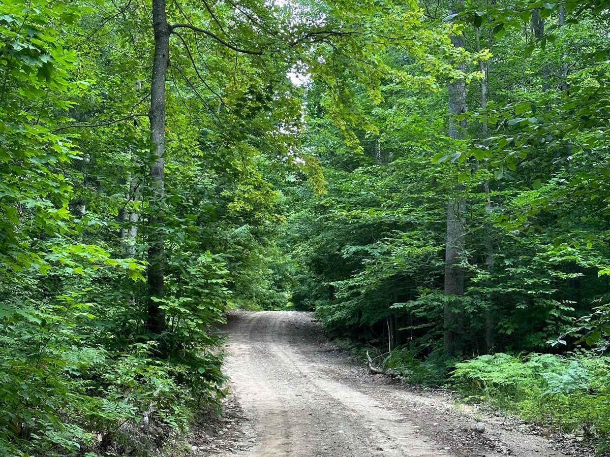 Trail 48460 photo 6