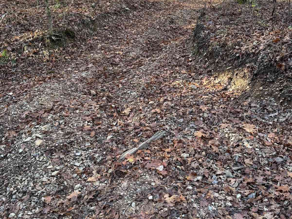Red 163 photo 3