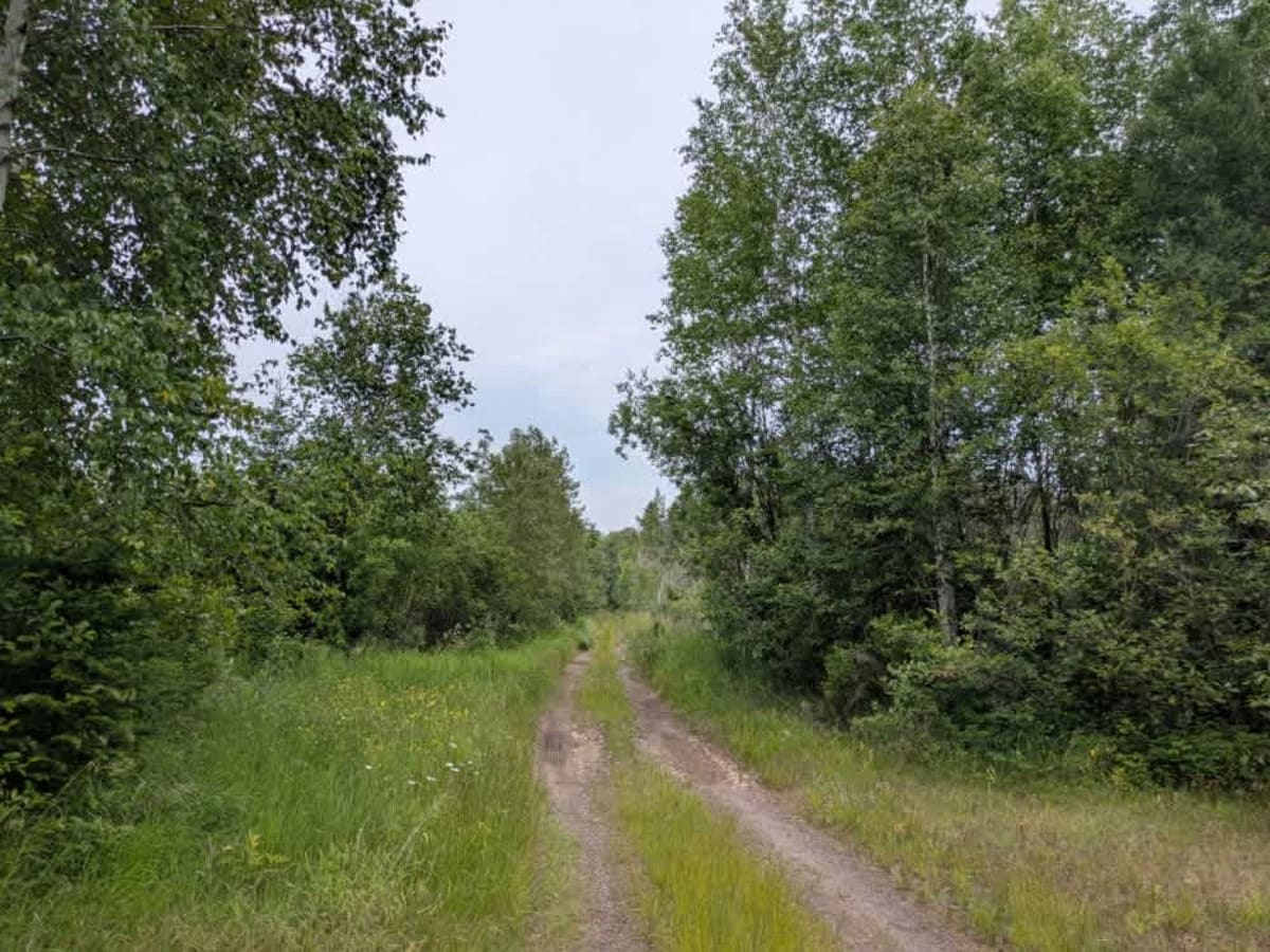 Whyte Road photo 3