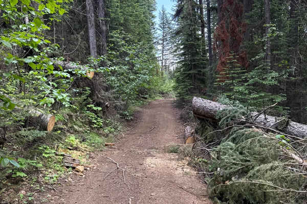 Bear Lake Road