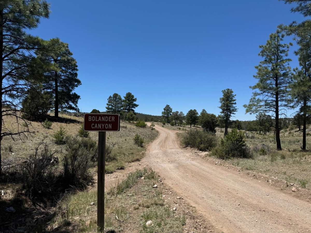 Old Canyon FR 220 photo 3
