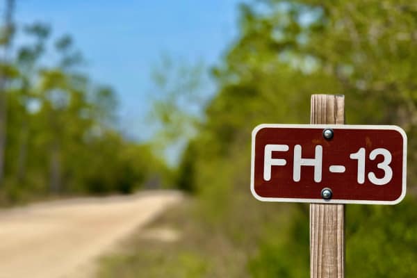 Forest Highway 13
