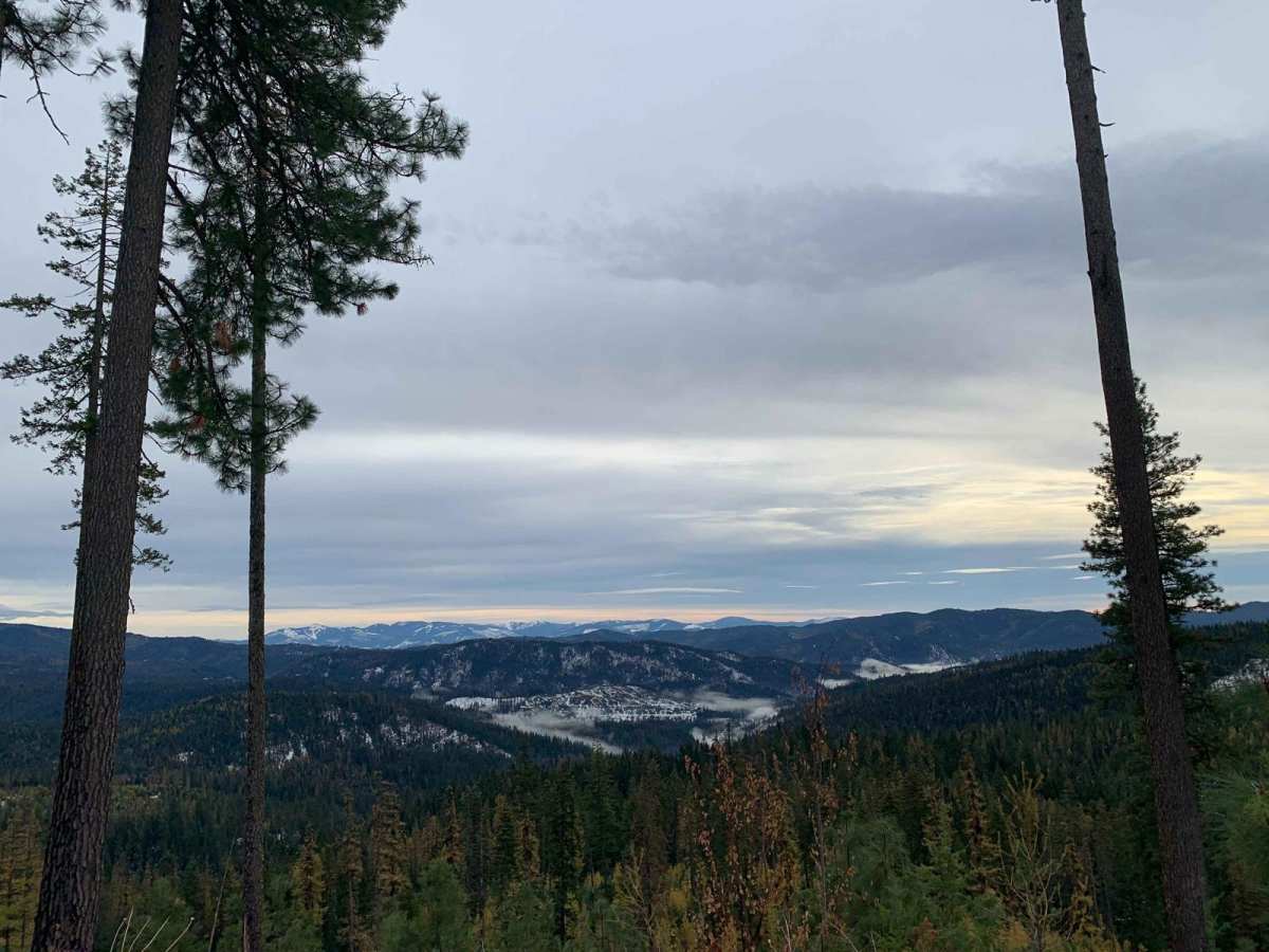 Blue Creek (499) trail photo
