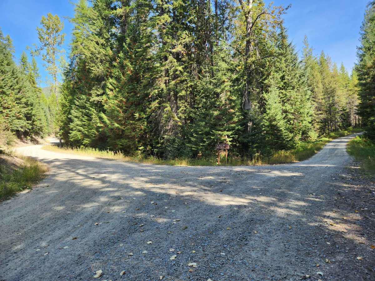 Deer Ridge photo 5