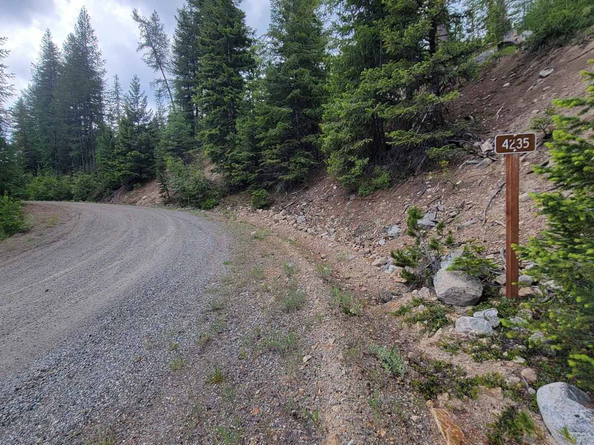 NF 4235 - Starvation Mountain trail photo