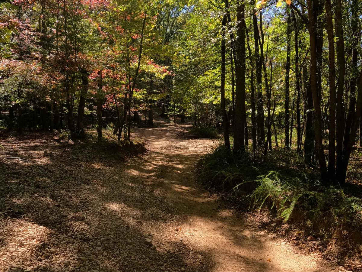 Middle Bays Trail - 4 to A Road photo 3