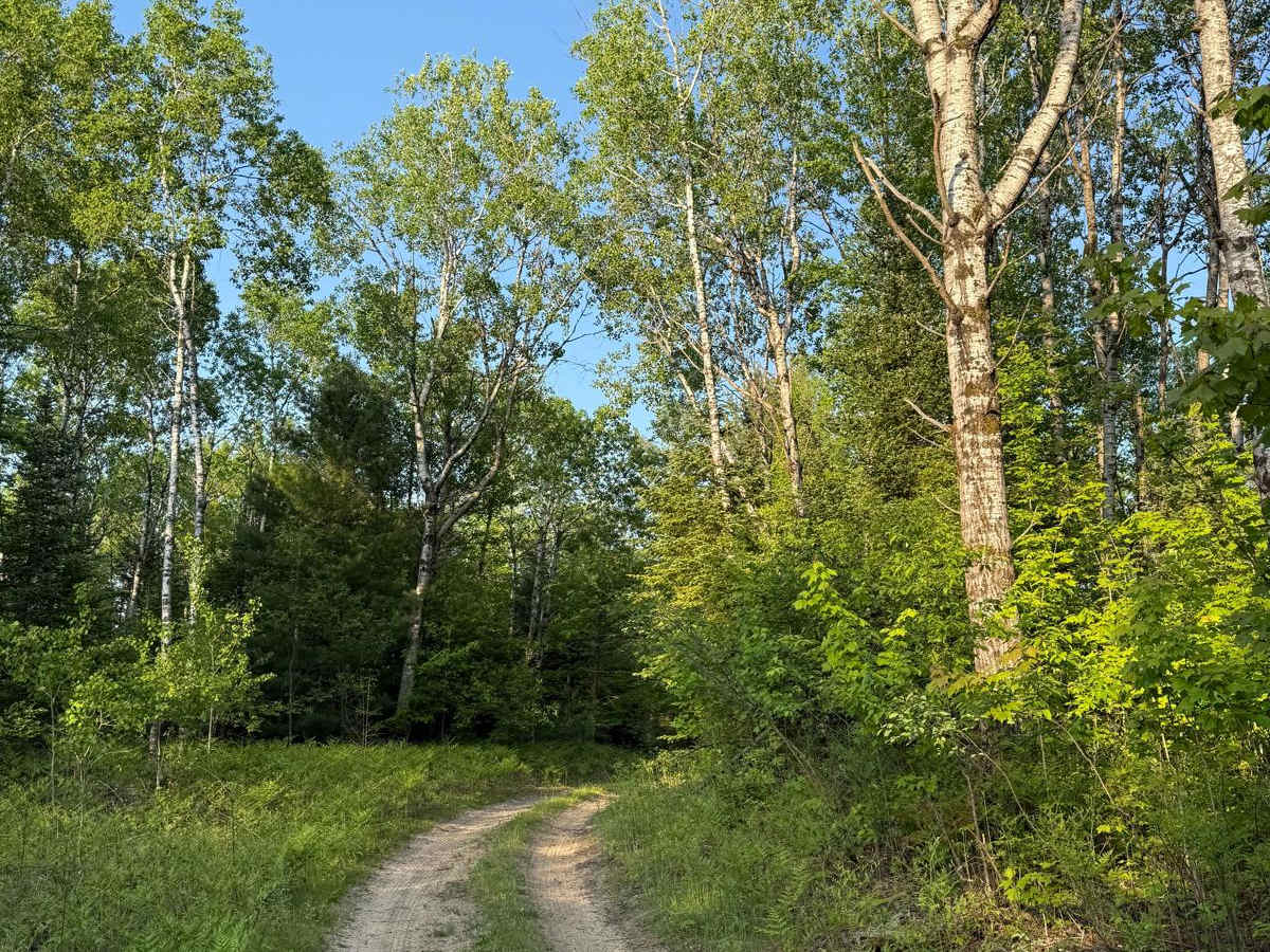 N-33 Trail photo 3