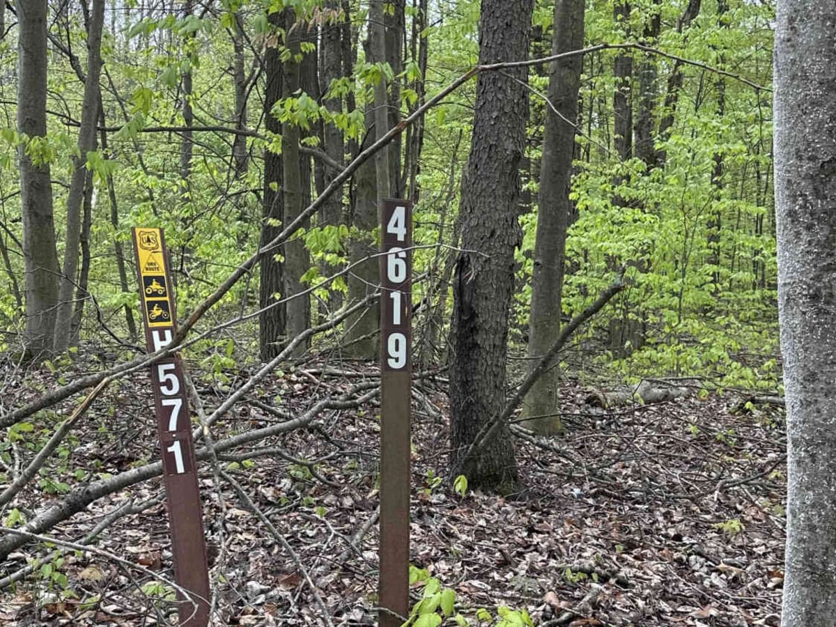 FS 4619 trail photo