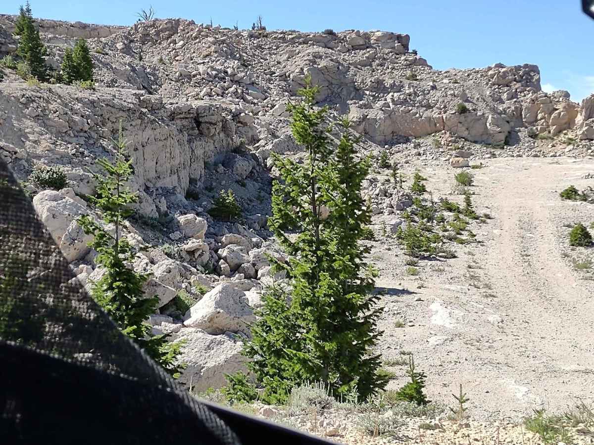 Limestone Trail (FS 327) trail photo