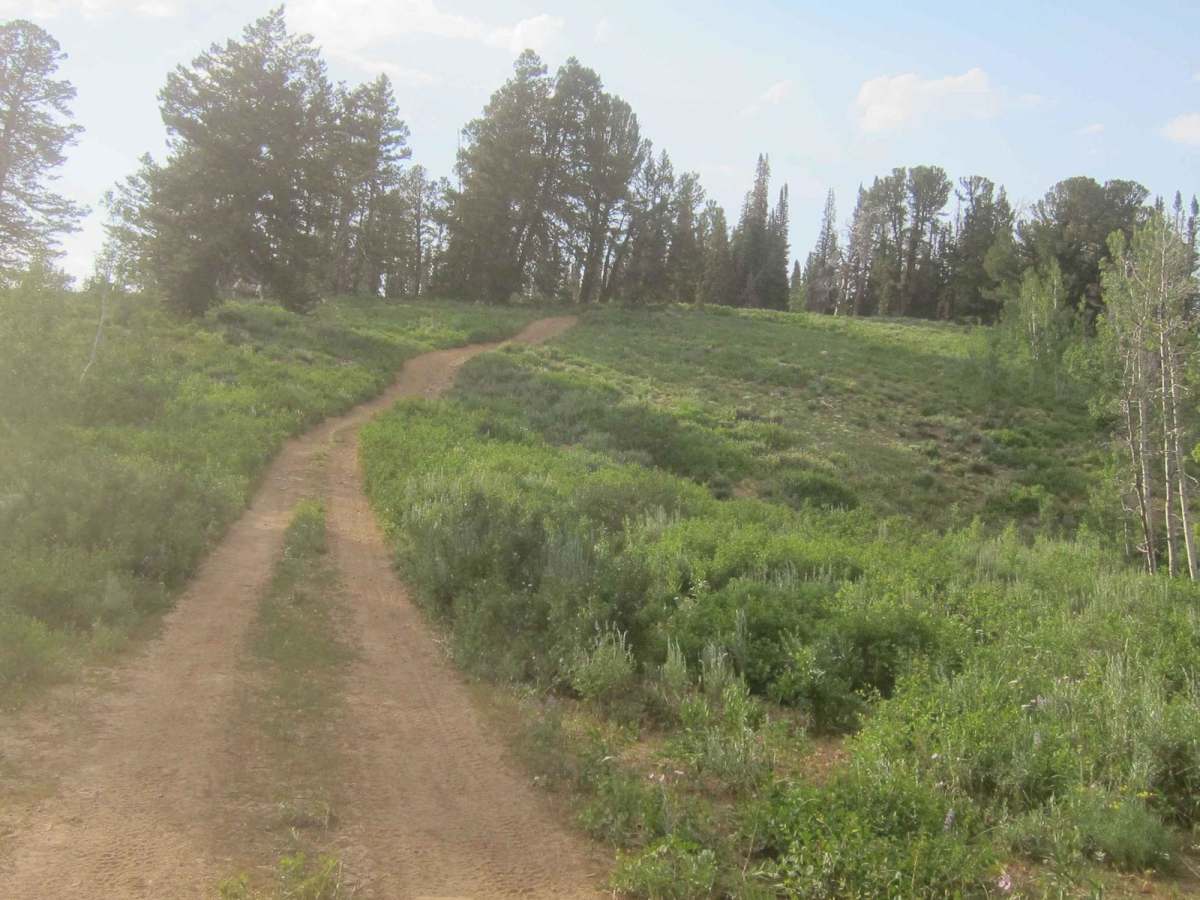 Church Hollow Trail photo 3