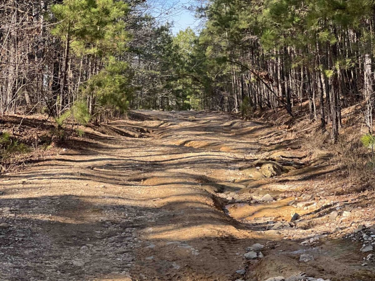 Wildcat Mountain 179 photo 4