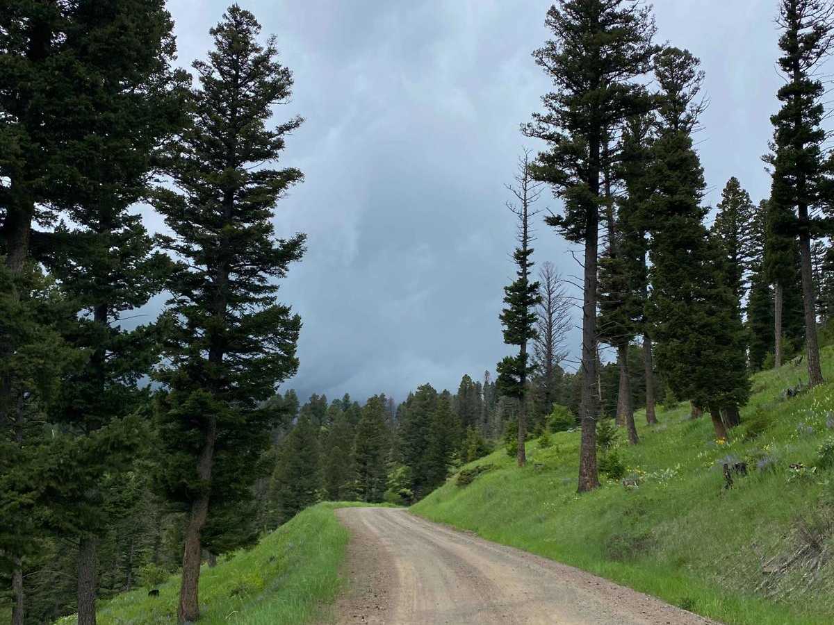 Start of Olsen Creek photo 2