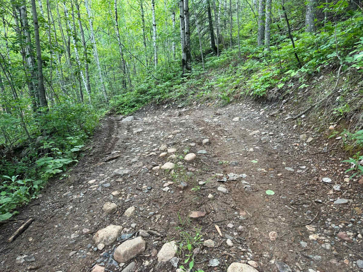 Leprechaun Lane photo 4