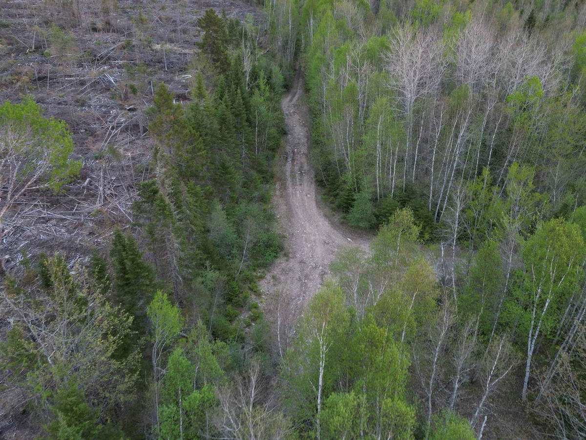 Douglas Clear Cut Bypass photo 3