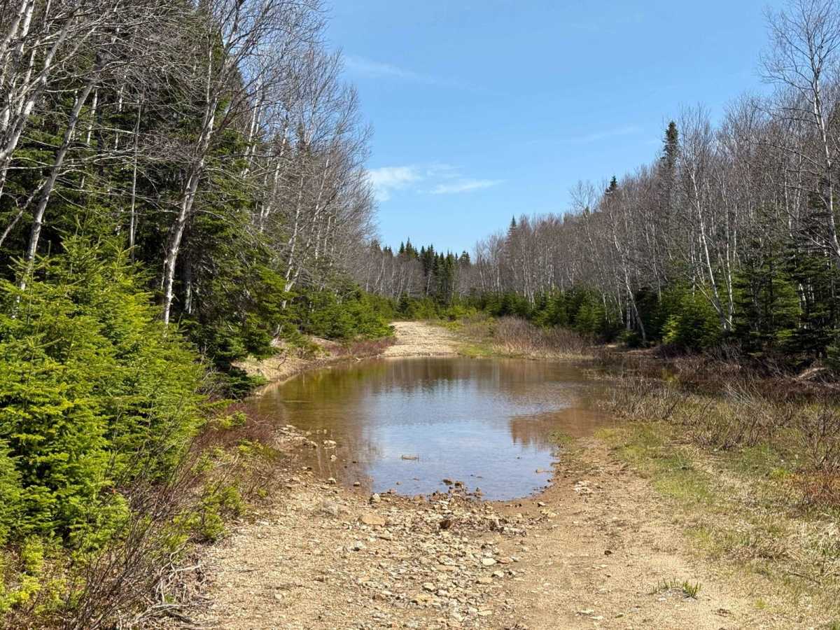 McMillan Flowage Trail photo 3