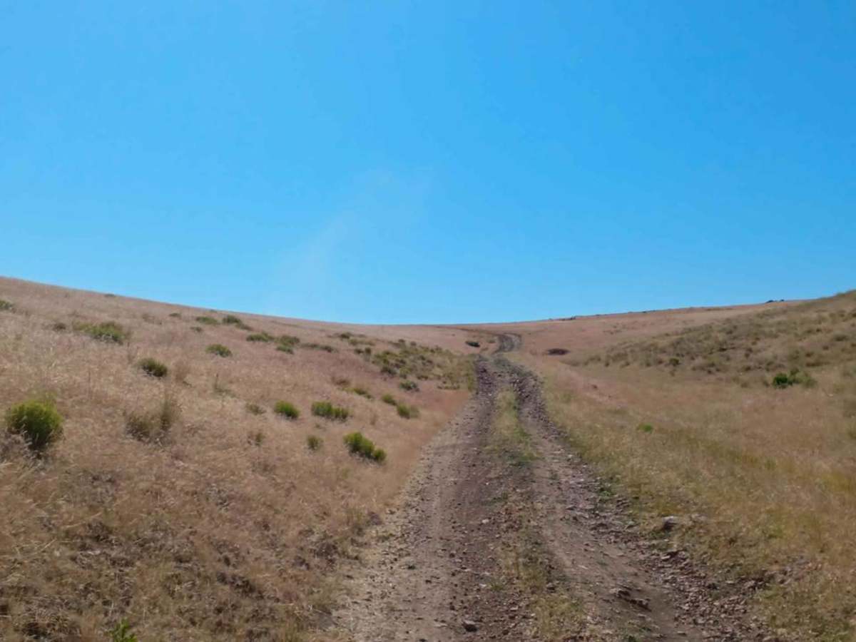 Board Corral Loop Rd 7306-0-00 photo 5