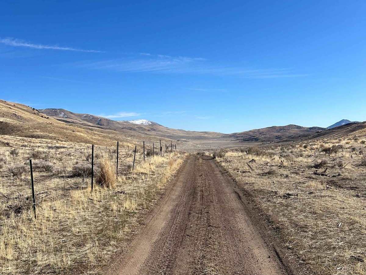 Wildhorse Track photo 2