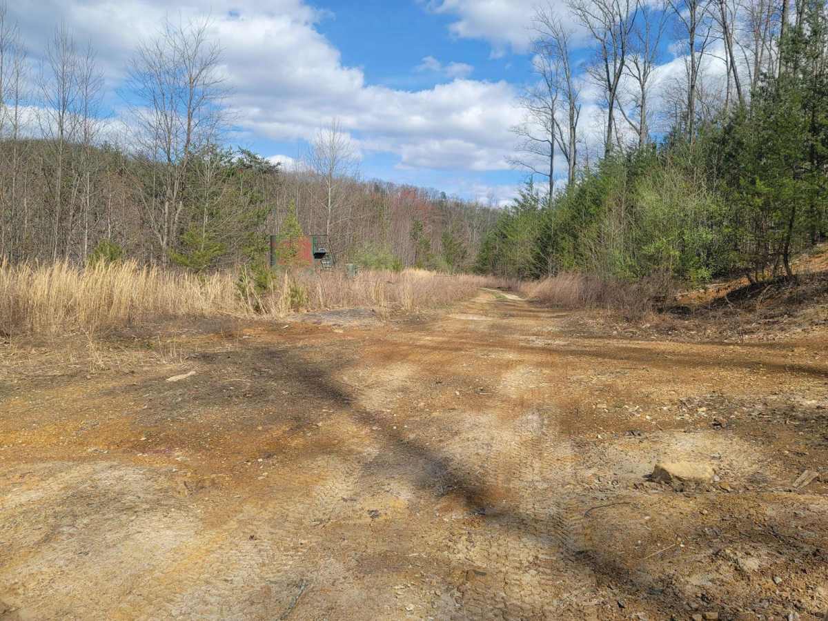 G58 - Cambria Hollow photo 5