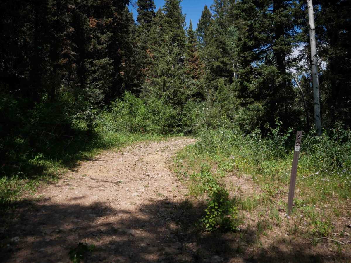 Cow Fork Bench #3373 trail photo