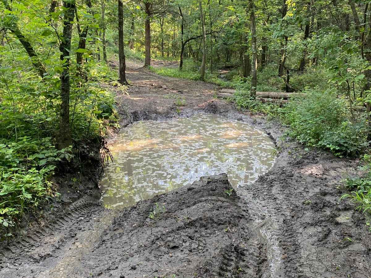 Grease Hill photo 2