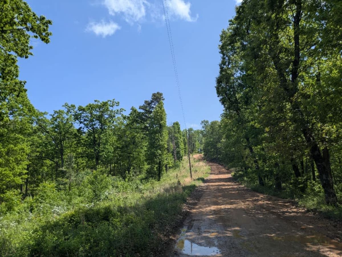 1101 Road photo 2