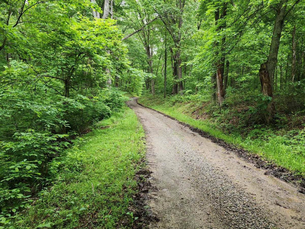 Blacks Run Road photo 4