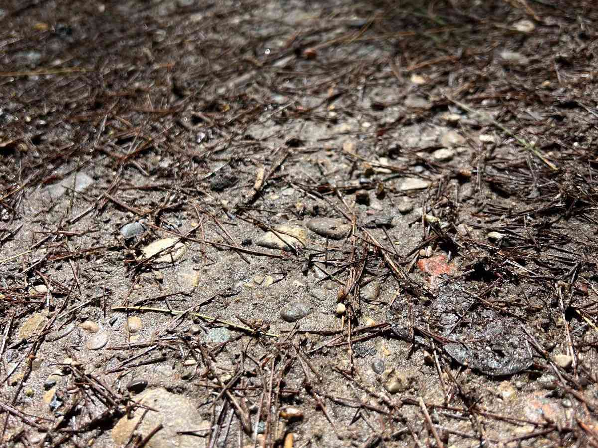 8 Trail photo 4