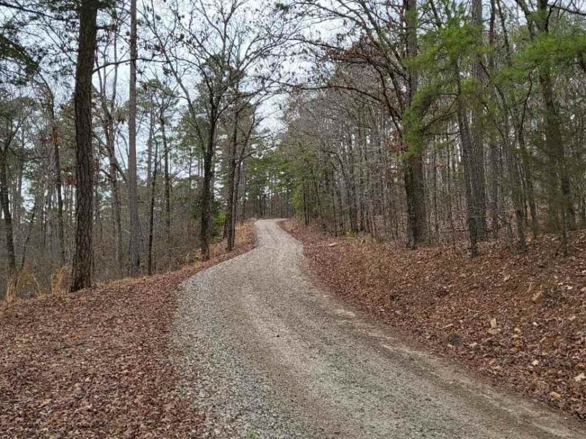 White Rock Mountain - East photo 5