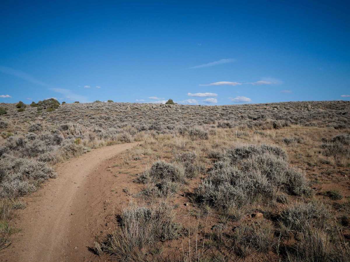 Evans Loop photo 6