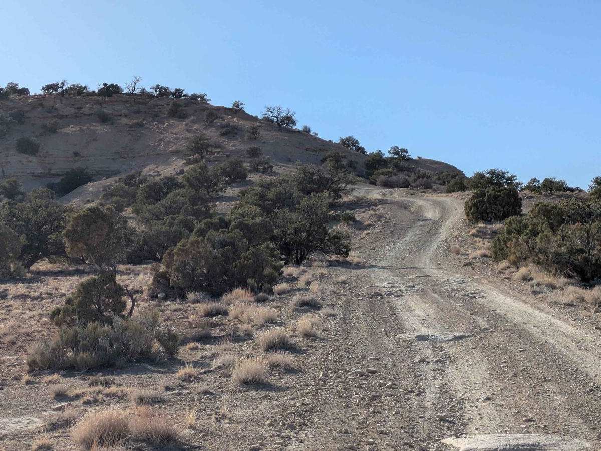 BLM 846 photo 4