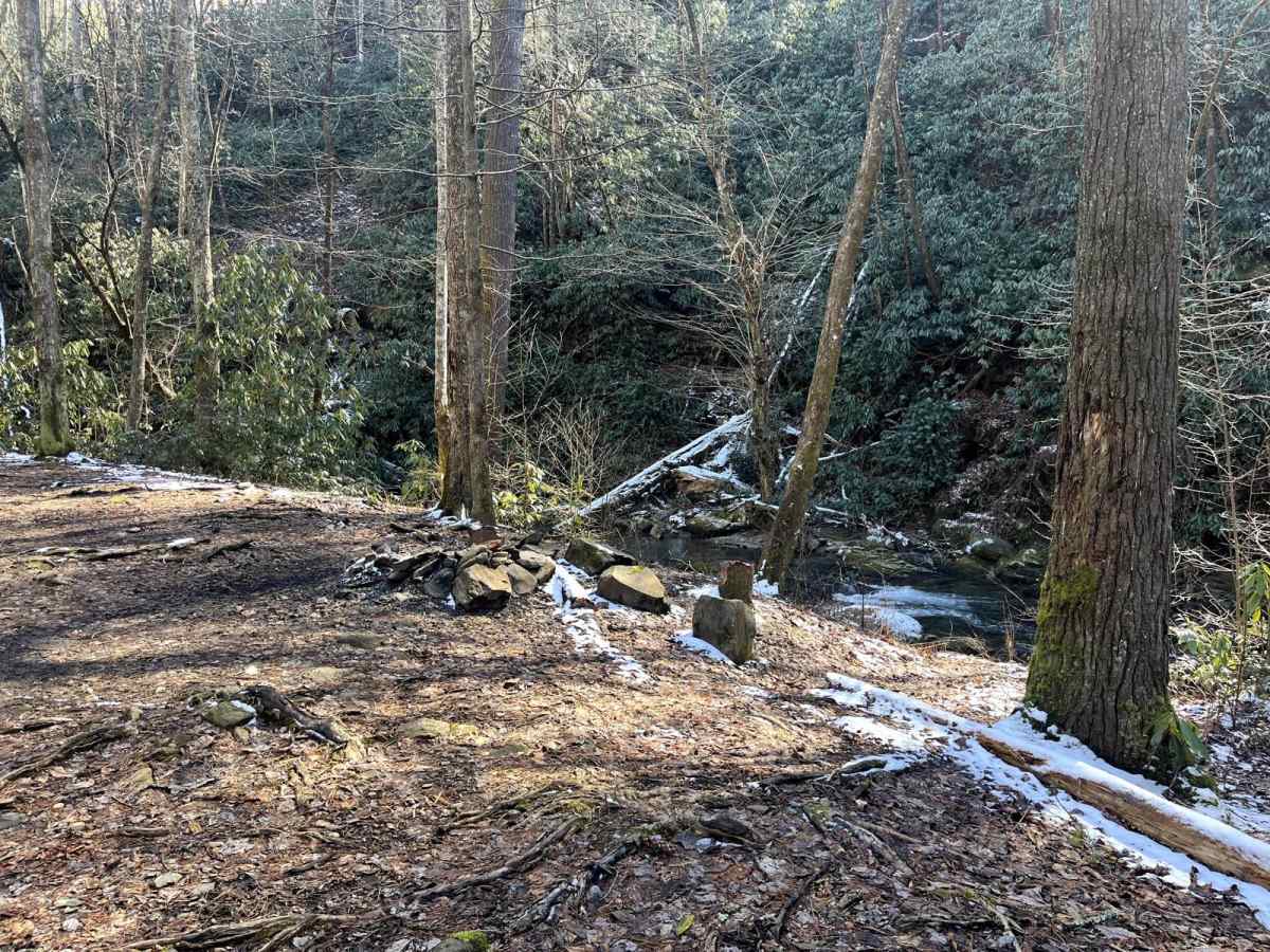 Double Camp photo 6